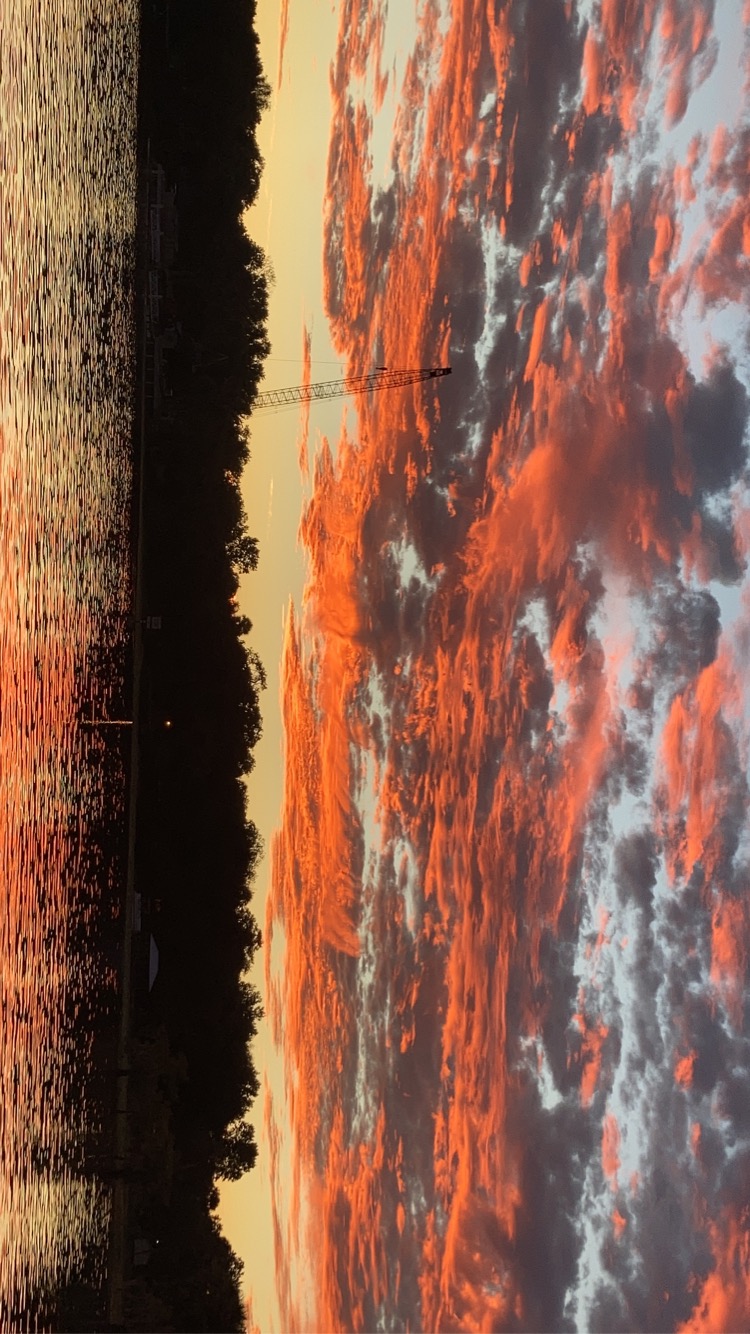 AVS Marine project sunset view